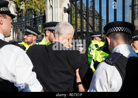 Londres, Royaume-Uni. 31 octobre, 2018. L'arrestation des agents de police, écrivain et activiste Green coach de vie Donnachadh McCarthy après avoir bloqué une route autour de P Banque D'Images