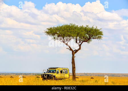 Jeep en vertu de l'acacia dans Savannah dans le Masai Mara au Kenya wildpark Banque D'Images