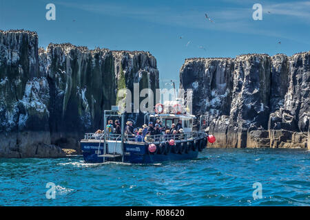 Les bateaux sur les îles Farne Banque D'Images