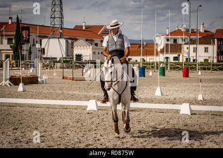 Cheval lusitanien à Golega, Portugal Banque D'Images