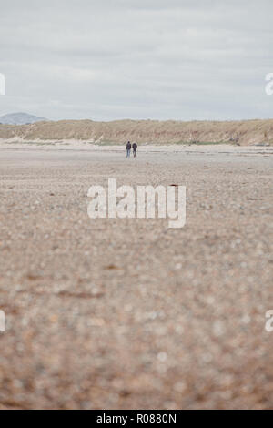 Profondeur de champ en premier plan avec deux promeneurs sur la plage de Cymyran, conseil informatique, près de la piste de la vallée, Anglesey, au nord du Pays de Galles Banque D'Images