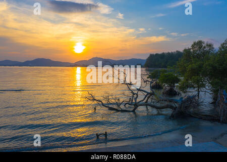 Vue aérienne le coucher du soleil par Mudong conect canal vers la baie de Chalong. Klong Mudong canal est parfait. Les forêts de mangrove d'ici peut voir le Big Buddha Phuket sta Banque D'Images