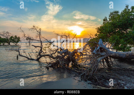 Vue aérienne le coucher du soleil par Mudong conect canal vers la baie de Chalong. Klong Mudong canal est parfait. Les forêts de mangrove d'ici peut voir le Big Buddha Phuket sta Banque D'Images