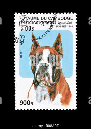 Timbre-poste imprimé par le Cambodge, qui montre l'Allemand Boxer, vers 1998. Banque D'Images