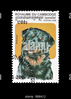 Timbre-poste imprimé par le Cambodge, qui montre de Rottweiler, vers 1998. Banque D'Images