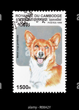 Timbre-poste imprimé par le Cambodge, qui montre Welsh Corgi, vers 1998. Banque D'Images