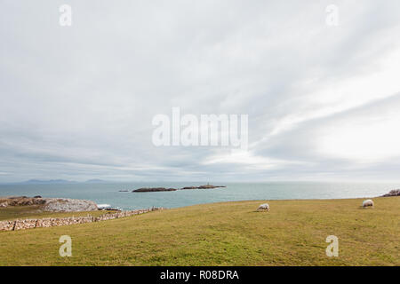 À la recherche jusqu'à la mer de la côte du chemin côtier Rhoscolyn, Anglesey, au nord du Pays de Galles, Royaume-Uni Banque D'Images