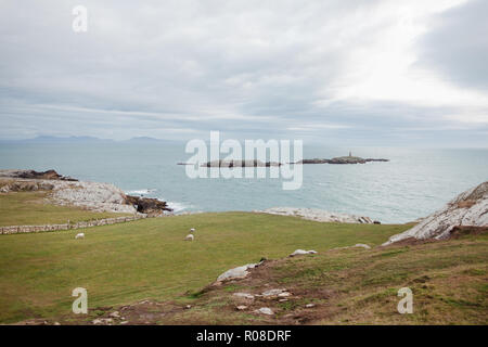 À la recherche jusqu'à la mer de la côte du chemin côtier Rhoscolyn, Anglesey, au nord du Pays de Galles, Royaume-Uni Banque D'Images