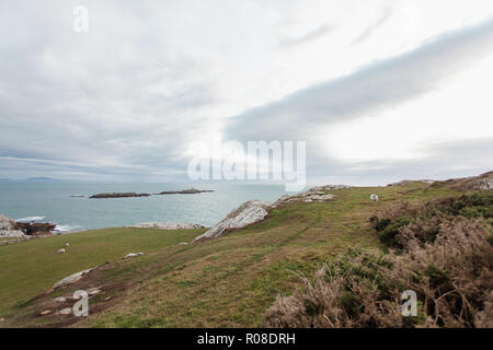 À la recherche jusqu'à la mer de la côte du chemin côtier Rhoscolyn, Anglesey, au nord du Pays de Galles, Royaume-Uni Banque D'Images