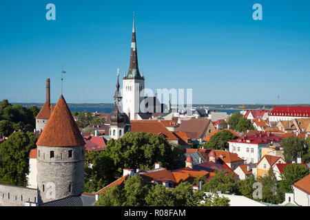 Tallinn, Estonie - 13 juin, 2016 : vue sur les toits rouges de la vieille ville de Tallinn Banque D'Images