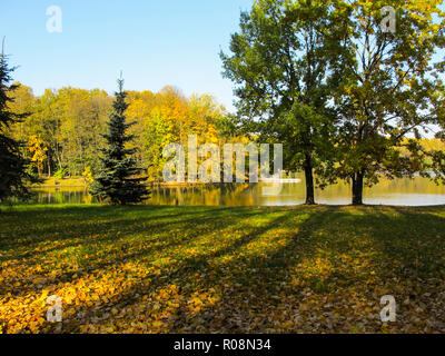 Soleil d'automne parc avec un beau lac. Les arbres colorés se reflètent dans l'eau du lac. Sur l'herbe avec les feuilles tombées depuis longtemps visibles sha Banque D'Images