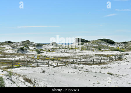 Florida coastal dunes de sable blanc et d'un split clôture près de la plage de la côte du Golfe à Watersound en Floride, aux États-Unis. Banque D'Images