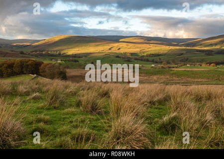 Shunner grand Fell est la troisième plus haute montagne dans le Yorkshire Dales, North Yorkshire, Angleterre, et le point le plus élevé de Wensleydale ; à 716 mètres Banque D'Images