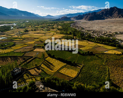 Les terres agricoles irriguées le long du fleuve Indus, vu depuis le toit de Tikse Gompa Banque D'Images