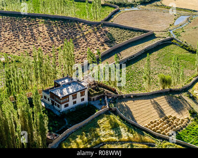 Les terres agricoles irriguées le long du fleuve Indus, vu depuis le toit de Tikse Gompa Banque D'Images