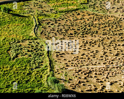 Les terres agricoles irriguées le long du fleuve Indus, vu depuis le toit de Tikse Gompa Banque D'Images