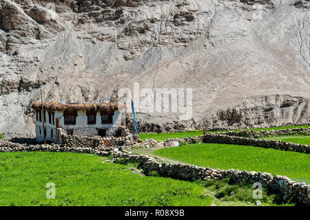 Les agriculteurs d'une maison entourée de champs verts, juste à côté de l'Autoroute Près de Manali-Leh Taglang La. Banque D'Images