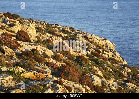 Méditerranée près de Mnajdra. Malte Banque D'Images