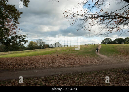 Couleurs d'automne avec des feuilles sur le sol. Une journée ensoleillée avec des nuages sur la Colline du Parlement, Hampstead Heath. Banque D'Images