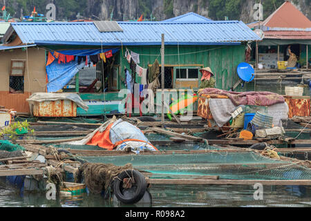 Pisciculture flottante dans la baie de Ha Long vietnam Banque D'Images