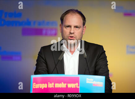 Berlin, Allemagne. 09Th Nov, 2018. Christoph Meyer, président du FDP à Berlin, prend la parole lors des élections européennes de la FDP de Berlin. Au cours de la réunion, les candidats pour la liste fédérale pour les élections européennes ont été élus. Credit : Soeren Stache/dpa/Alamy Live News Banque D'Images