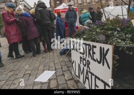 Stockholm, Suède. Nov 2, 2018. Greta Thunberg, le 15 ans, militant du climat suédois se trouve à l'extérieur du parlement suédois et qui a attiré l'attention du monde entier en septembre lorsqu'elle s'est rendue sur l'avant-grève l'école de l'élection présidentielle. Crédit : Joel Alvarez/ZUMA/Alamy Fil Live News Banque D'Images