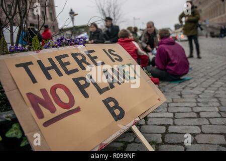 Stockholm, Suède. Nov 2, 2018. Greta Thunberg, le 15 ans, militant du climat suédois se trouve à l'extérieur du parlement suédois et qui a attiré l'attention du monde entier en septembre lorsqu'elle s'est rendue sur l'avant-grève l'école de l'élection présidentielle. Crédit : Joel Alvarez/ZUMA/Alamy Fil Live News Banque D'Images