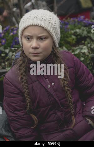 Stockholm, Suède. Nov 2, 2018. Greta Thunberg, le 15 ans, militant du climat suédois se trouve à l'extérieur du parlement suédois et qui a attiré l'attention du monde entier en septembre lorsqu'elle s'est rendue sur l'avant-grève l'école de l'élection présidentielle. Crédit : Joel Alvarez/ZUMA/Alamy Fil Live News Banque D'Images