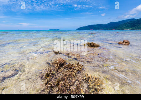 Paysage avec les récifs coralliens tropicaux sur l'île de Tioman en Malaisie. Beau paysage marin de l'Asie du sud sur la plage de Tekek. Banque D'Images