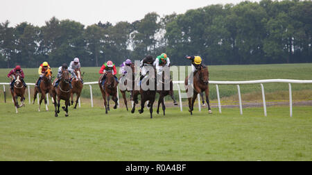 Chevaux et jockeys leur course vers la ligne d'arrivée dans une course à l'hippodrome de Thirsk dans Yorkshire du Nord Banque D'Images