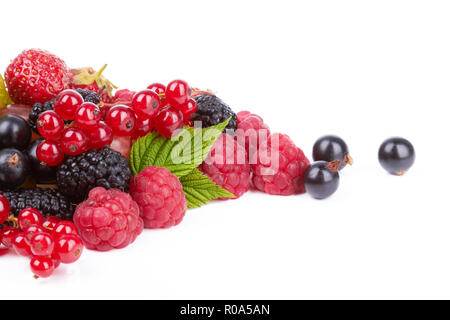 Fraises, framboises, groseilles rouges et mulberry sur fond blanc Banque D'Images