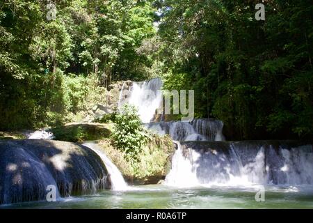 YS falls est une attraction touristique naturelle à Saint Elizabeth Parish, la Jamaïque. C'est un sept niveaux qui cascade en cascade piscines naturelles. Banque D'Images