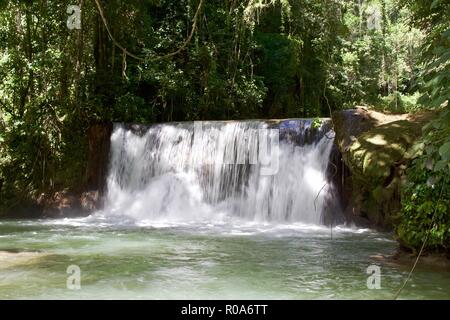 YS falls est une attraction touristique naturelle à Saint Elizabeth Parish, la Jamaïque. C'est un sept niveaux qui cascade en cascade piscines naturelles. Banque D'Images