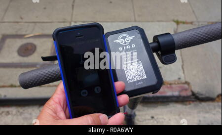 Close up de guidon et de numérisation d'un OISEAU symbole scooter électrique et main tenant le téléphone mobile à l'app ouvert Banque D'Images