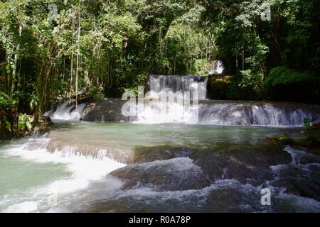 YS falls est une attraction touristique naturelle à Saint Elizabeth Parish, la Jamaïque. C'est un sept niveaux qui cascade en cascade piscines naturelles. Banque D'Images