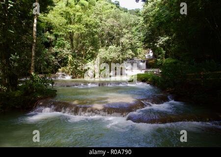 YS falls est une attraction touristique naturelle à Saint Elizabeth Parish, la Jamaïque. C'est un sept niveaux qui cascade en cascade piscines naturelles. Banque D'Images