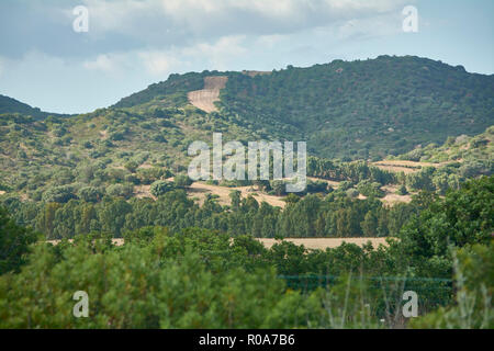 La colline typique du sud de la Sardaigne couvertes de végétation méditerranéenne avec une petite route menant au sommet. Banque D'Images