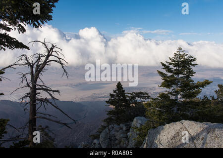 Vue de la vallée de Coachella le Tramway Aérien de Palm Springs Banque D'Images
