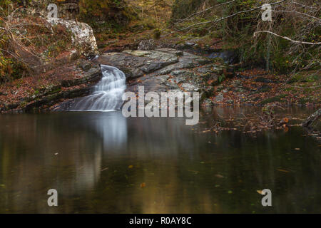 Sur la rivière Cascade, Felinrhyd Prysor Coed, Pays de Galles, Royaume-Uni Banque D'Images