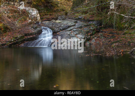 Sur la rivière Cascade, Felinrhyd Prysor Coed, Pays de Galles, Royaume-Uni Banque D'Images