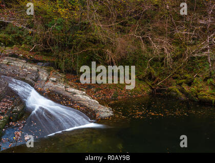 Sur la rivière Cascade, Felinrhyd Prysor Coed, Pays de Galles, Royaume-Uni Banque D'Images