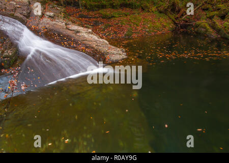 Sur la rivière Cascade, Felinrhyd Prysor Coed, Pays de Galles, Royaume-Uni Banque D'Images