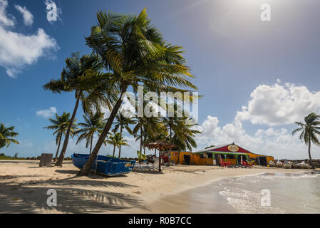 Le Gosier, Guadeloupe - 20 décembre 2016 : Paradise belle plage, de palmiers et de boutique près de Le Gosier en Guadeloupe, une région d'outre-mer de la France, moins Banque D'Images