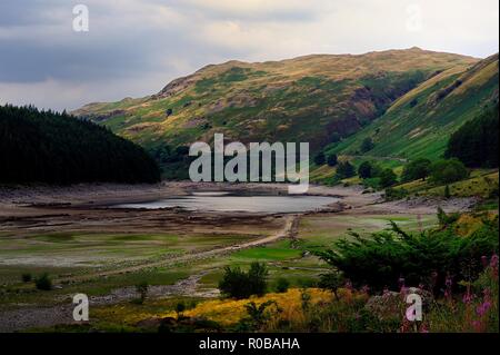 Au-dessus d'une des banques Mardale Haweswater faible Banque D'Images