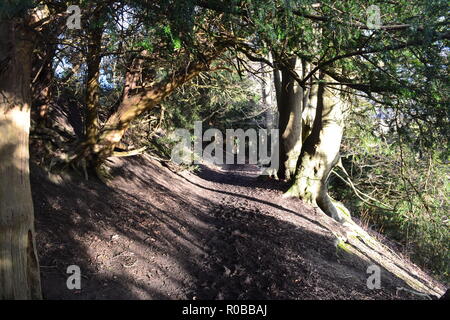 Chemin sur Wilmots Hill, Ightham Mote, National Trust, l'hiver 2018, une belle vue à l'ouest du Kent sur le Weald Banque D'Images