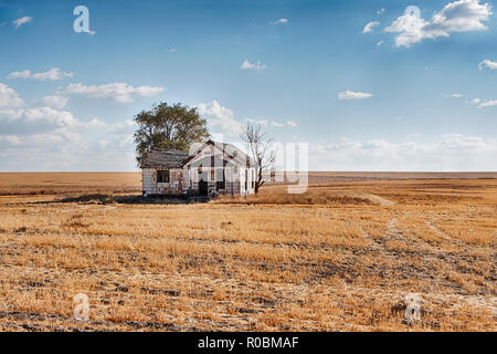 Une maison abandonnée est tout seul au milieu d'un champ de blé sans fin dans l'Est de Washington. Banque D'Images