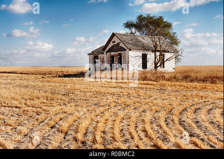 Une petite ferme abandonnée se dresse au milieu d'un champ de blé dans l'Est de Washington. Banque D'Images
