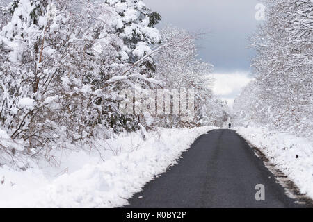 Paysage de l'Ardenne de montagnes en hiver, route de campagne et la neige Banque D'Images