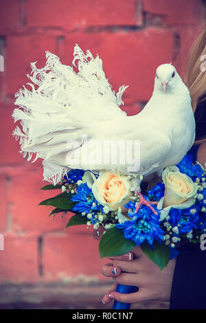 Photo d'un pigeon rouge de race décoratif assis sur les fleurs qui fluent de sa queue luxuriante Banque D'Images