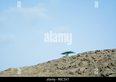 L'autoroute côtière Makran, Kund Malir Beach, quelques personnes debout à l'ombre de l'arbre pour obtenir le soulagement de la chaleur torride Banque D'Images